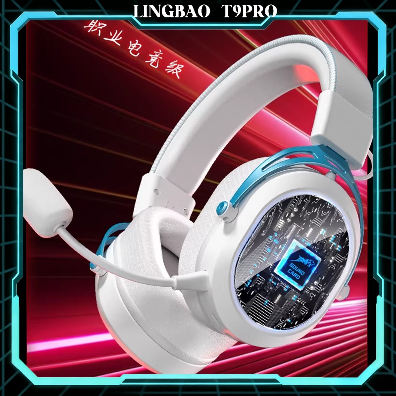 Lingbao T9Pro Kabelloses Gamin – Pc Gaming Cs2 Bewertung und Preis